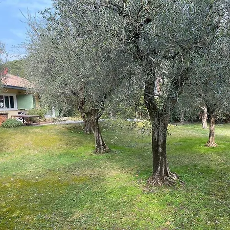 Sweet Flower - With Private Pool And Garden