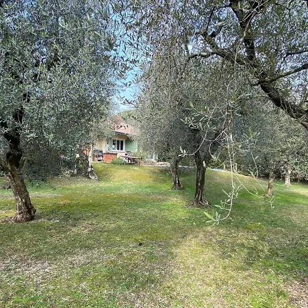 Sweet Flower - With Private Pool And Garden Manerba del Garda